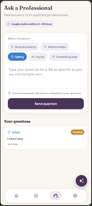 Ask a Professional screen